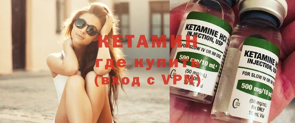 хмурый Ельня