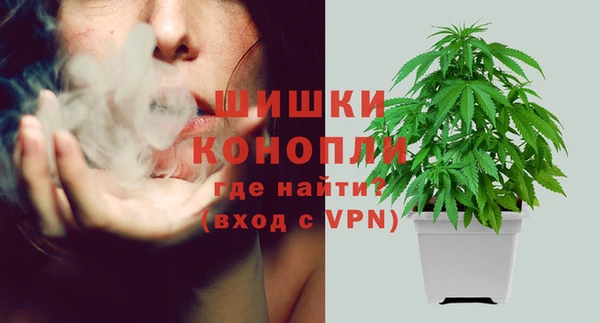хмурый Ельня