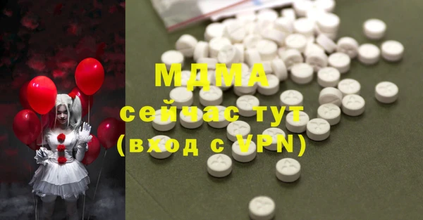 хмурый Ельня