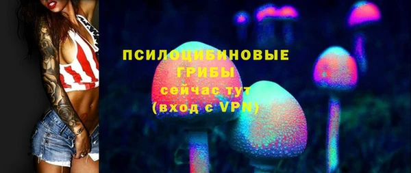 a pvp Елабуга