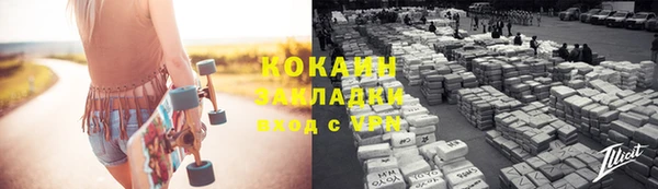 хмурый Ельня