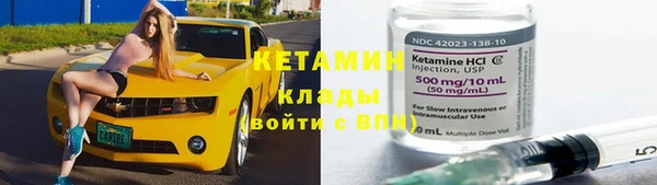 хмурый Ельня