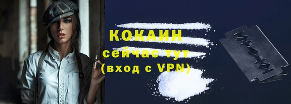 хмурый Ельня