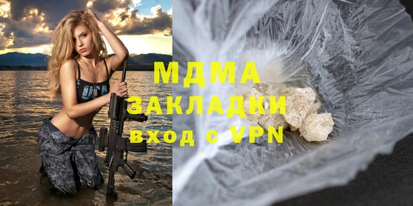 хмурый Ельня