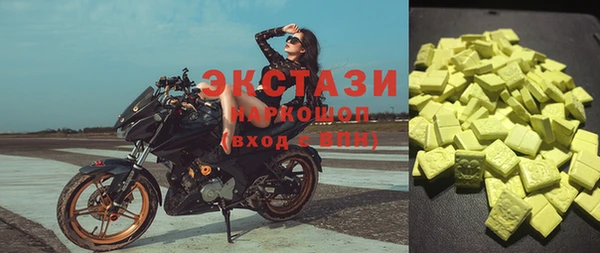 хмурый Ельня