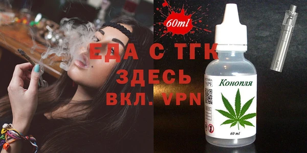 хмурый Ельня