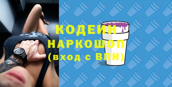 хмурый Ельня