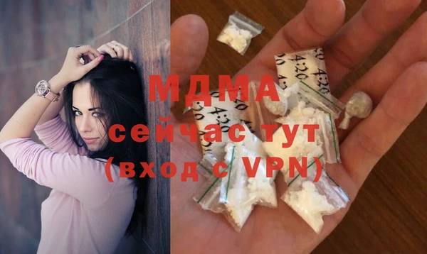 хмурый Ельня