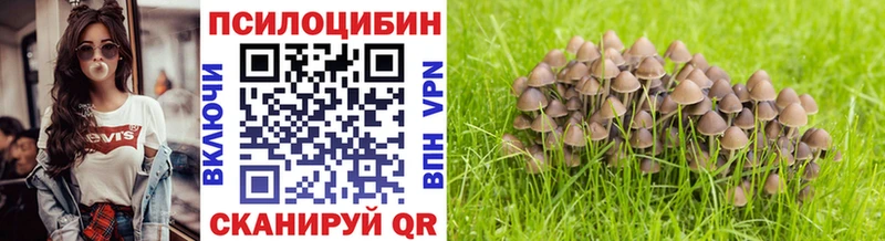 Псилоцибиновые грибы прущие грибы  Купить закладки  Югорск 